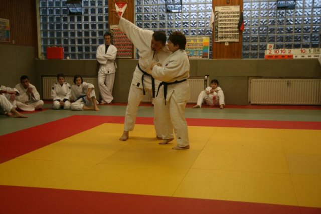 Judolehrgang Bodentechniken / SV / Treechallenge