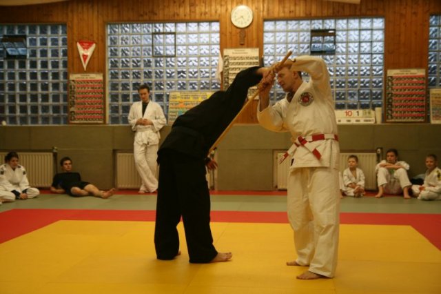 Judolehrgang Bodentechniken / SV / Treechallenge