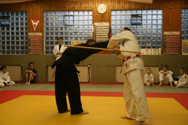 Judolehrgang Bodentechniken / SV / Treechallenge