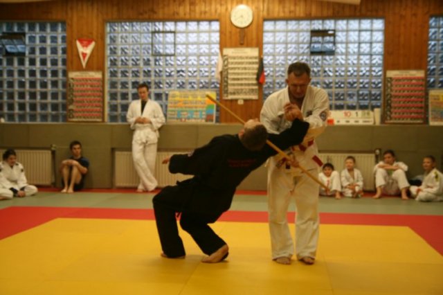Judolehrgang Bodentechniken / SV / Treechallenge