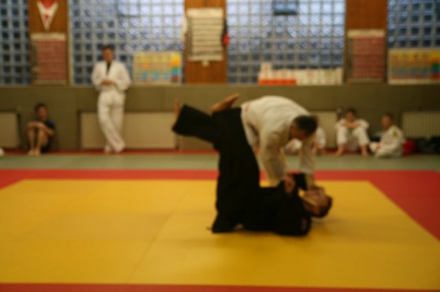 Judolehrgang Bodentechniken / SV / Treechallenge