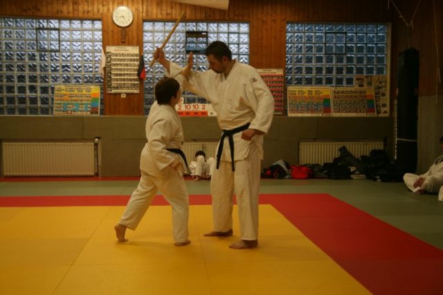 Judolehrgang Bodentechniken / SV / Treechallenge