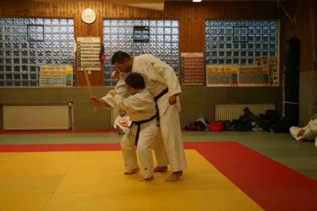 Judolehrgang Bodentechniken / SV / Treechallenge