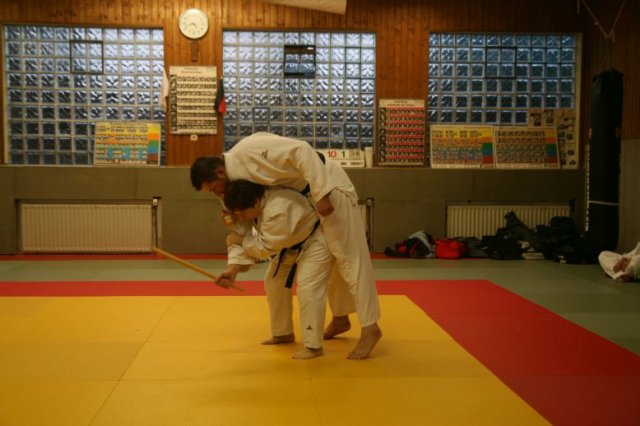Judolehrgang Bodentechniken / SV / Treechallenge