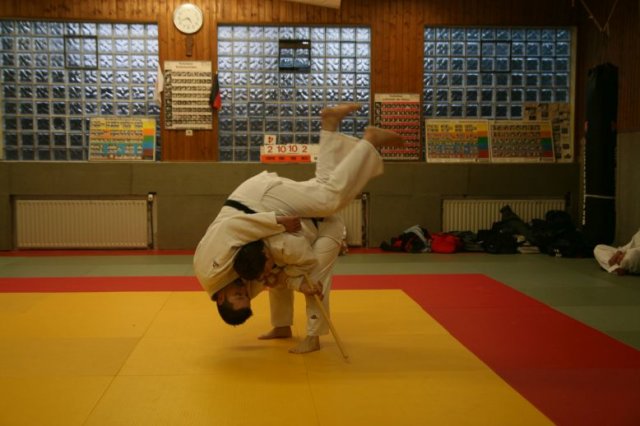 Judolehrgang Bodentechniken / SV / Treechallenge