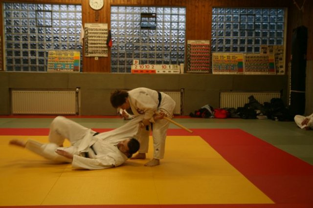 Judolehrgang Bodentechniken / SV / Treechallenge