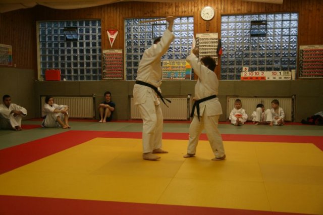 Judolehrgang Bodentechniken / SV / Treechallenge