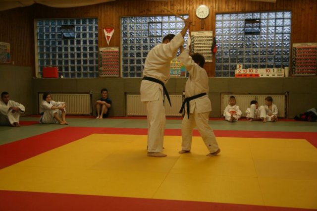 Judolehrgang Bodentechniken / SV / Treechallenge