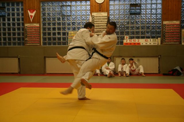 Judolehrgang Bodentechniken / SV / Treechallenge
