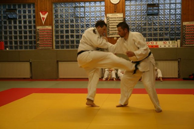 Judolehrgang Bodentechniken / SV / Treechallenge