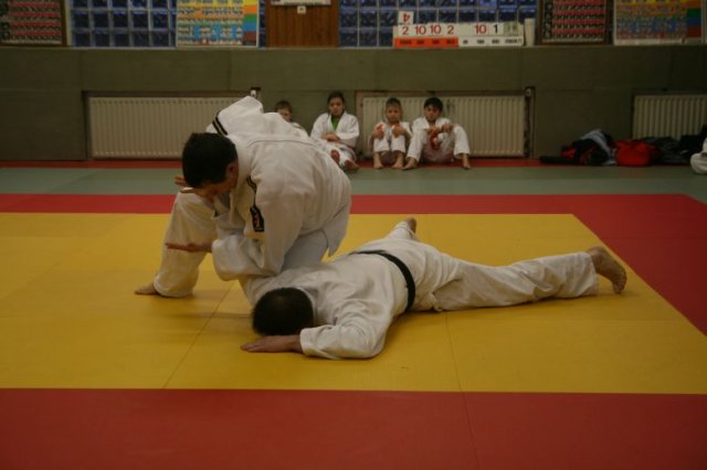 Judolehrgang Bodentechniken / SV / Treechallenge