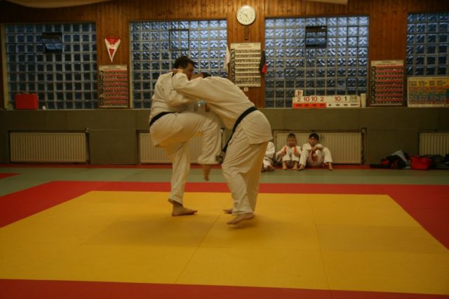 Judolehrgang Bodentechniken / SV / Treechallenge