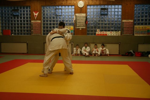 Judolehrgang Bodentechniken / SV / Treechallenge