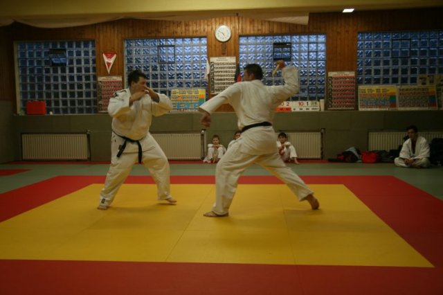 Judolehrgang Bodentechniken / SV / Treechallenge