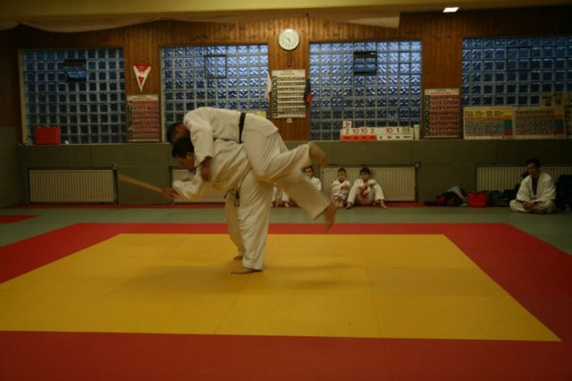Judolehrgang Bodentechniken / SV / Treechallenge