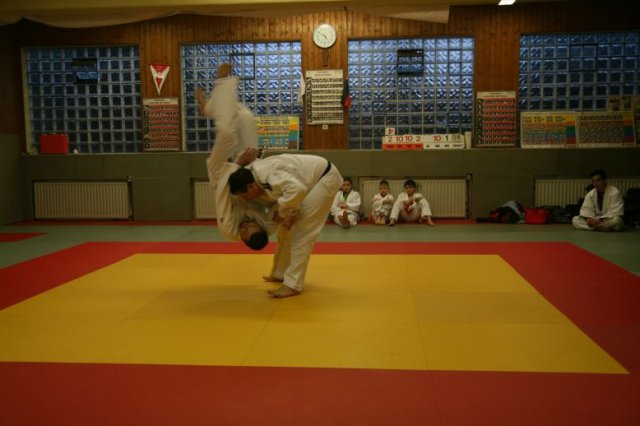 Judolehrgang Bodentechniken / SV / Treechallenge