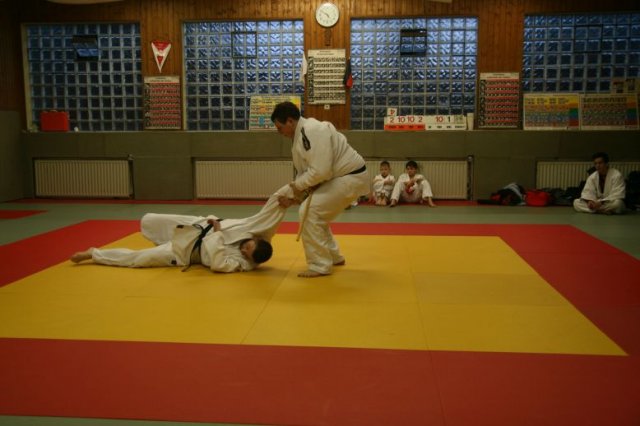 Judolehrgang Bodentechniken / SV / Treechallenge