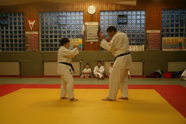 Judolehrgang Bodentechniken / SV / Treechallenge