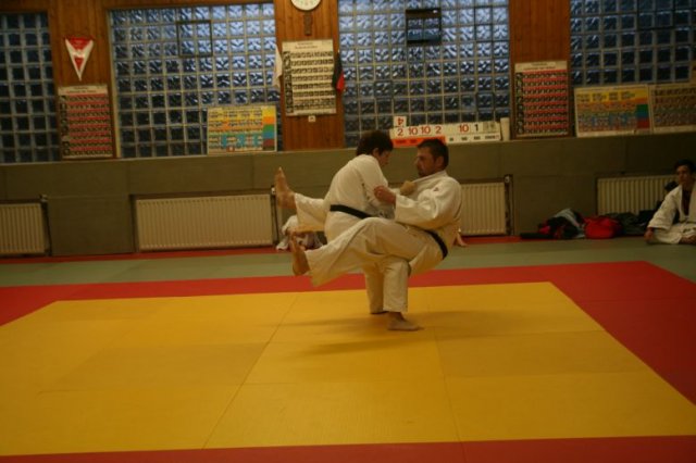 Judolehrgang Bodentechniken / SV / Treechallenge