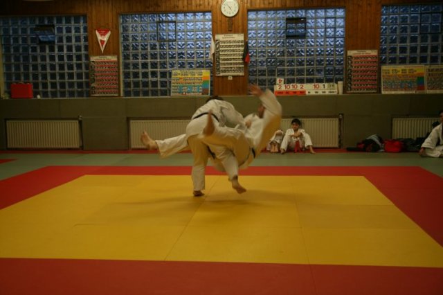 Judolehrgang Bodentechniken / SV / Treechallenge