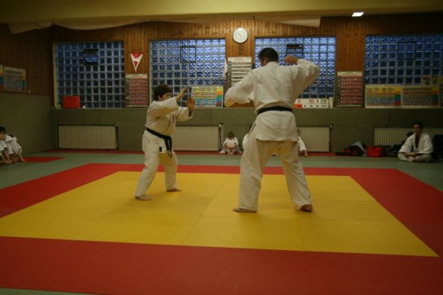Judolehrgang Bodentechniken / SV / Treechallenge