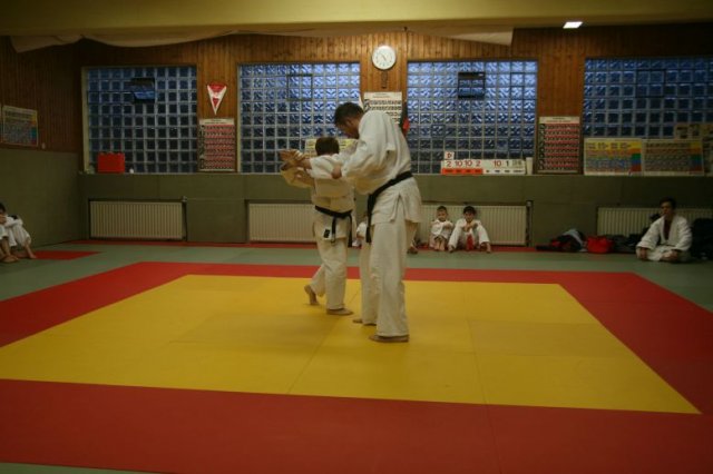 Judolehrgang Bodentechniken / SV / Treechallenge