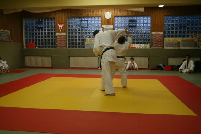 Judolehrgang Bodentechniken / SV / Treechallenge