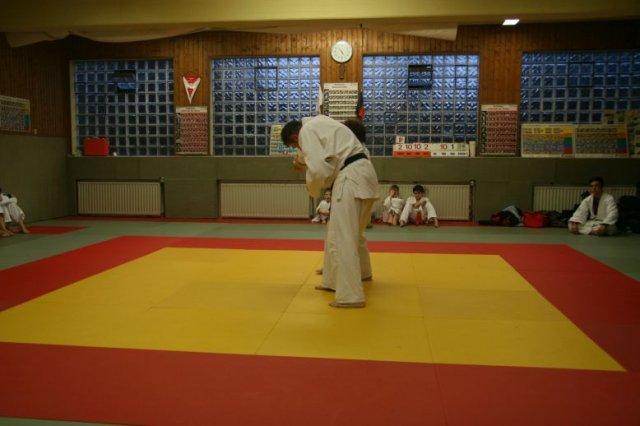 Judolehrgang Bodentechniken / SV / Treechallenge