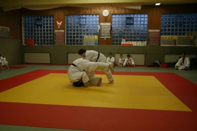 Judolehrgang Bodentechniken / SV / Treechallenge