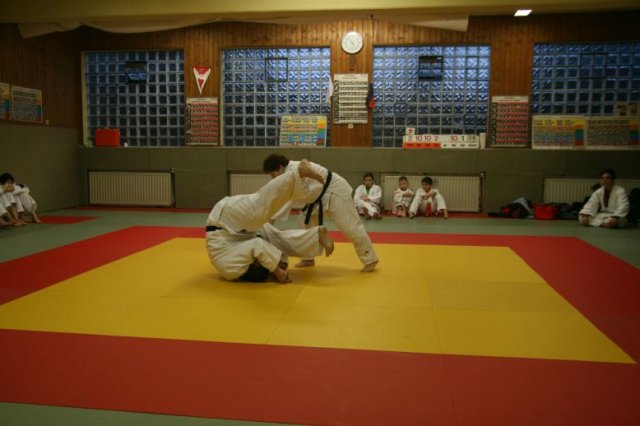 Judolehrgang Bodentechniken / SV / Treechallenge