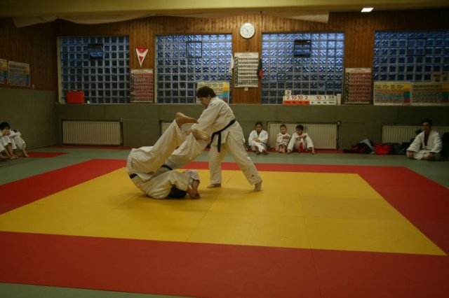 Judolehrgang Bodentechniken / SV / Treechallenge