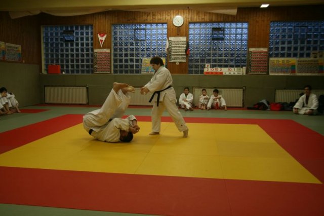 Judolehrgang Bodentechniken / SV / Treechallenge