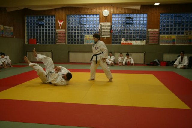 Judolehrgang Bodentechniken / SV / Treechallenge