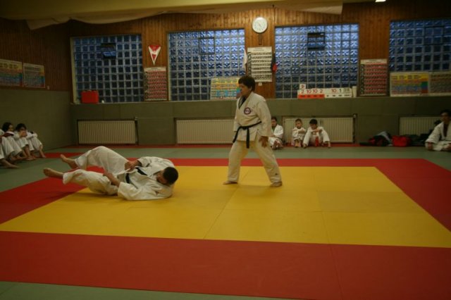 Judolehrgang Bodentechniken / SV / Treechallenge