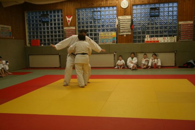 Judolehrgang Bodentechniken / SV / Treechallenge