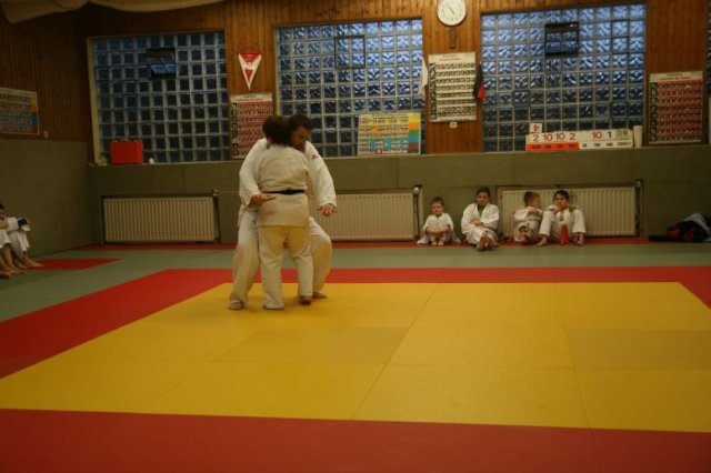 Judolehrgang Bodentechniken / SV / Treechallenge