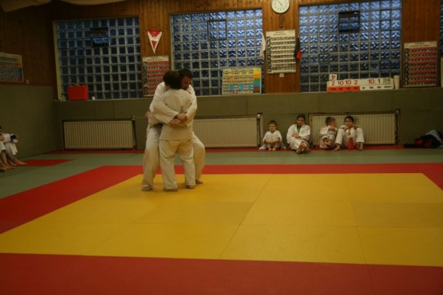 Judolehrgang Bodentechniken / SV / Treechallenge