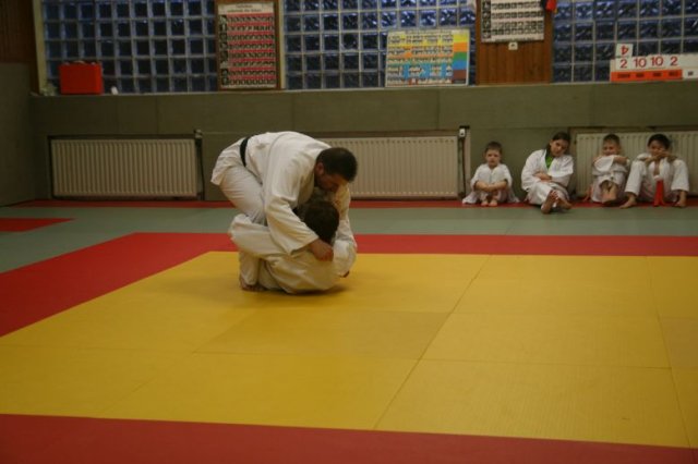 Judolehrgang Bodentechniken / SV / Treechallenge