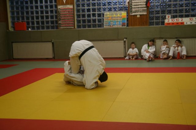 Judolehrgang Bodentechniken / SV / Treechallenge