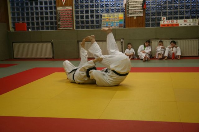 Judolehrgang Bodentechniken / SV / Treechallenge