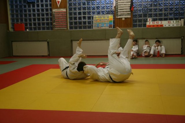 Judolehrgang Bodentechniken / SV / Treechallenge