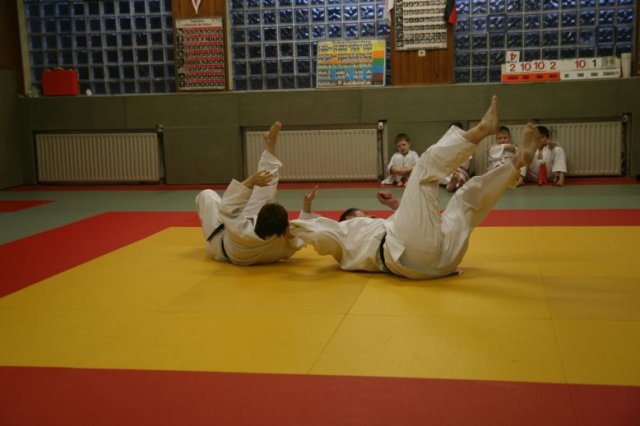 Judolehrgang Bodentechniken / SV / Treechallenge