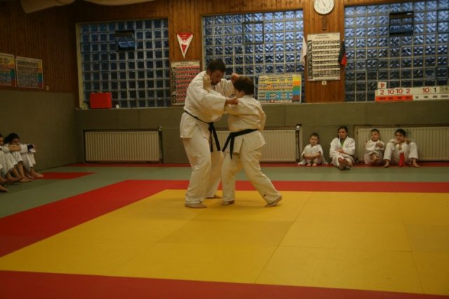 Judolehrgang Bodentechniken / SV / Treechallenge