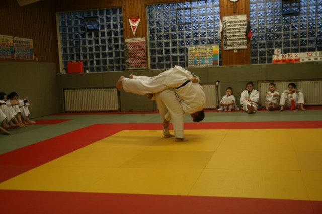Judolehrgang Bodentechniken / SV / Treechallenge