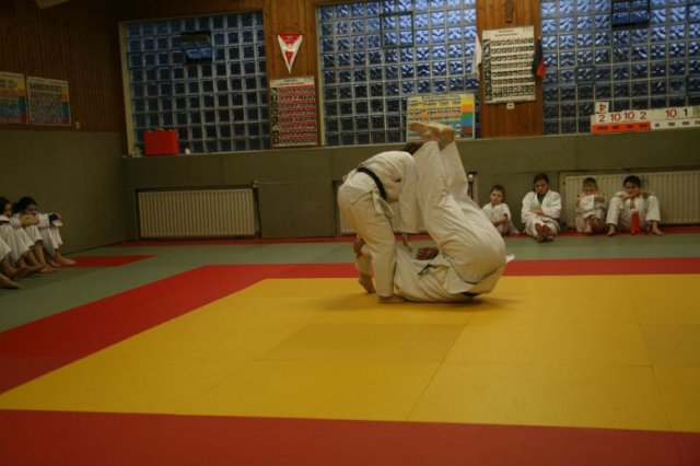 Judolehrgang Bodentechniken / SV / Treechallenge