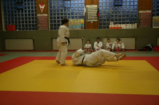 Judolehrgang Bodentechniken / SV / Treechallenge
