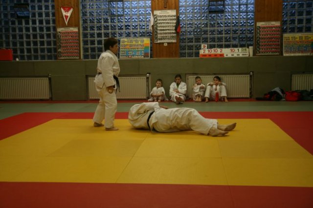 Judolehrgang Bodentechniken / SV / Treechallenge