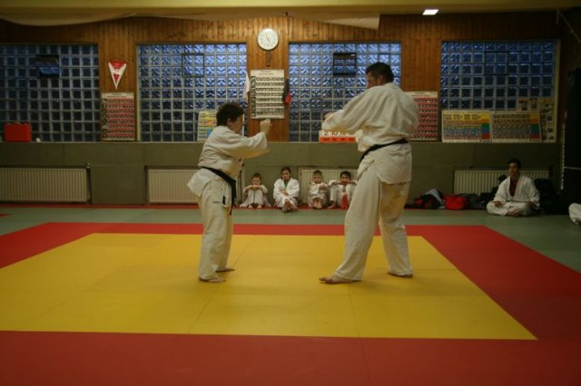 Judolehrgang Bodentechniken / SV / Treechallenge