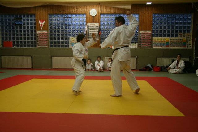 Judolehrgang Bodentechniken / SV / Treechallenge
