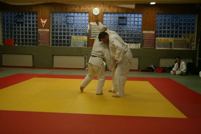 Judolehrgang Bodentechniken / SV / Treechallenge